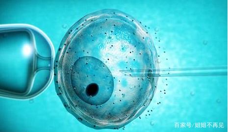 爱心供卵代怀助孕咨询哪家好